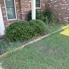 Professional-Flowerbed-Maintenance-Shrub-Trimming-in-Oxford-MS-1 2